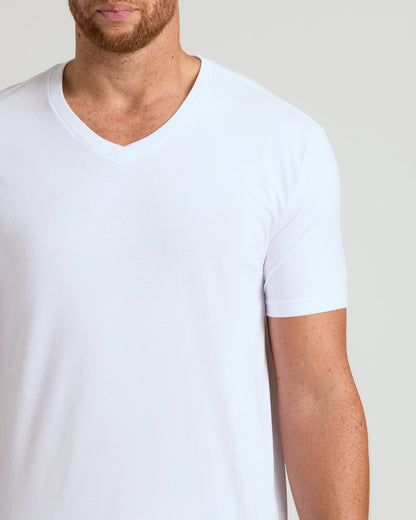 Black & White Short Sleeve Tall Classic V-Neck 2-Pack